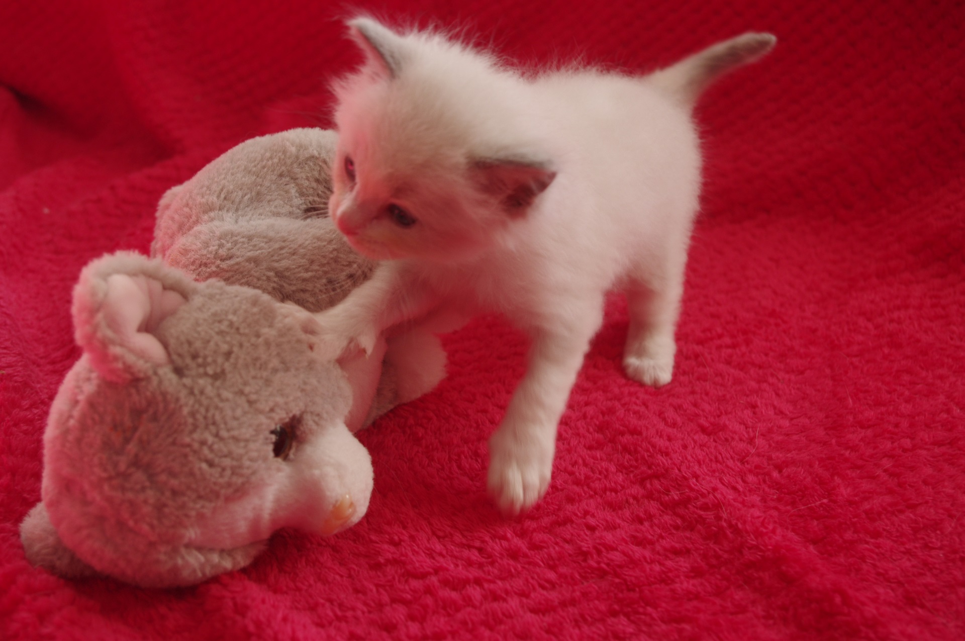 IMGP0027_01 IMGP0027_01