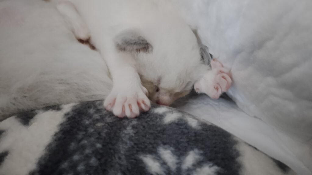 IMG_20250920_134752 IMG_20250920_134752