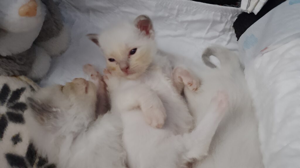 IMG_20250920_134810 IMG_20250920_134810