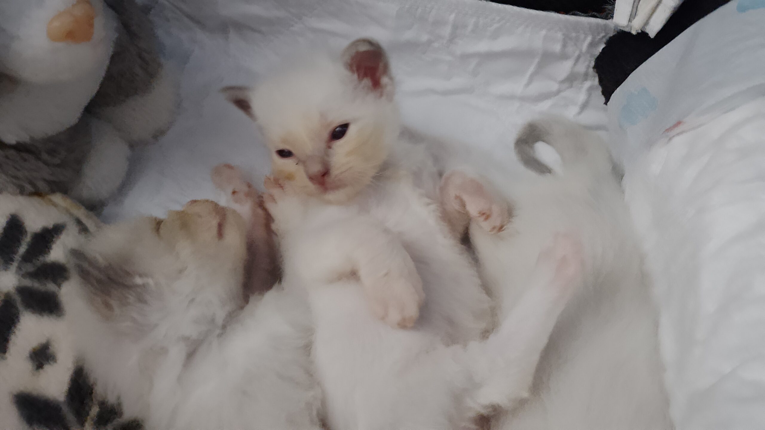 IMG_20250920_134810 IMG_20250920_134810