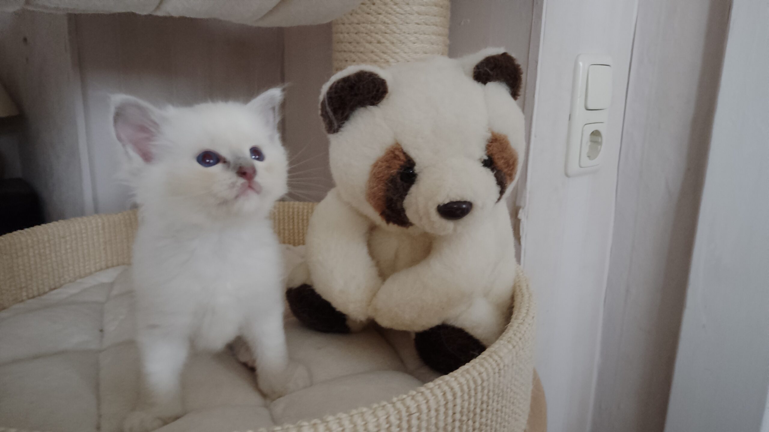 IMG_20251007_160453 IMG_20251007_160453