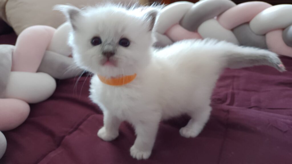 bild2 bild2